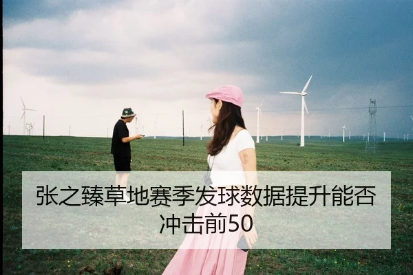 张之臻草地赛季发球数据提升能否冲击前50