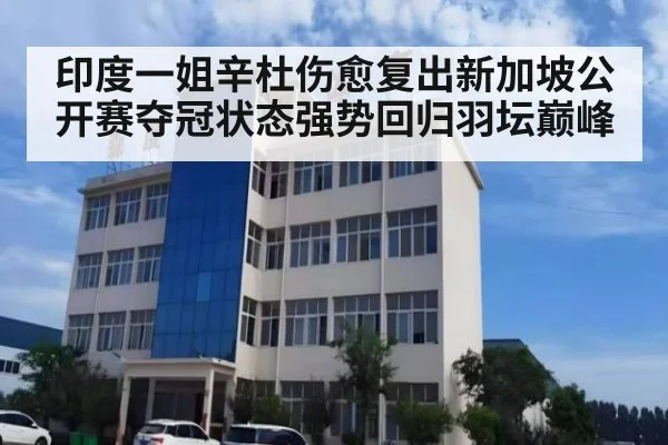 印度一姐辛杜伤愈复出新加坡公开赛夺冠状态强势回归羽坛巅峰